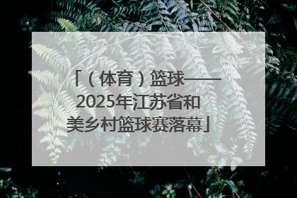 （体育）篮球——2025年江苏省和美乡村篮球赛落幕