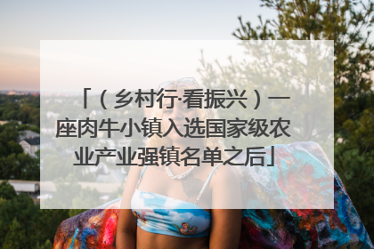 （乡村行·看振兴）一座肉牛小镇入选国家级农业产业强镇名单之后