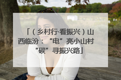（乡村行·看振兴）山西临汾：“电”亮小山村 “碳”寻振兴路