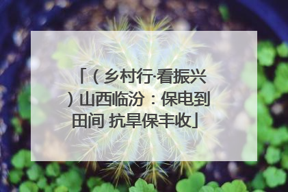 （乡村行·看振兴）山西临汾：保电到田间 抗旱保丰收