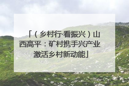 （乡村行·看振兴）山西高平：矿村携手兴产业 激活乡村新动能