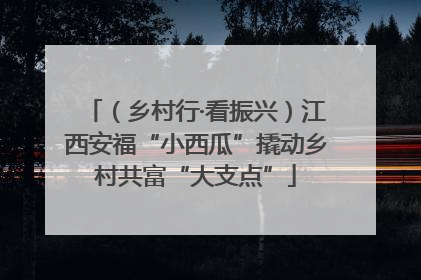 （乡村行·看振兴）江西安福“小西瓜”撬动乡村共富“大支点”