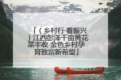 （乡村行·看振兴）江西彭泽千亩黄花菜丰收 金色乡村孕育致富新希望