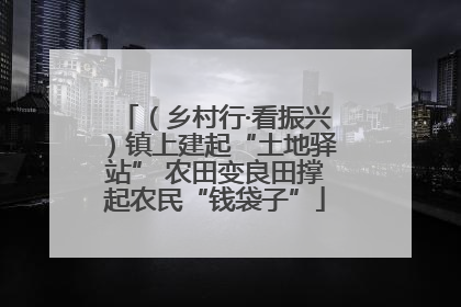 （乡村行·看振兴）镇上建起“土地驿站” 农田变良田撑起农民“钱袋子”