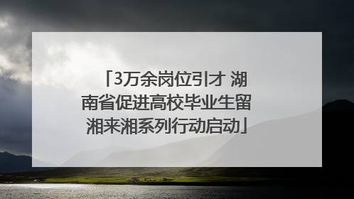 3万余岗位引才 湖南省促进高校毕业生留湘来湘系列行动启动