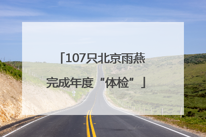 107只北京雨燕完成年度“体检”