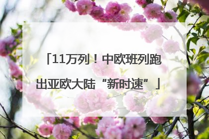 11万列！中欧班列跑出亚欧大陆“新时速”