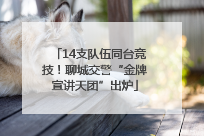 14支队伍同台竞技！聊城交警“金牌宣讲天团”出炉