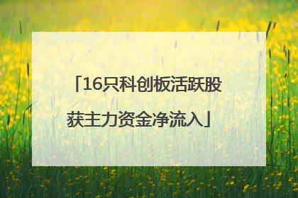 16只科创板活跃股获主力资金净流入