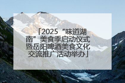 2025“味道湖南”美食季启动仪式暨岳阳啤酒美食文化交流推广活动举办