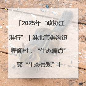 2025年“政协江淮行”｜淮北市渠沟镇程阁村：“生态痛点”变“生态景观”
