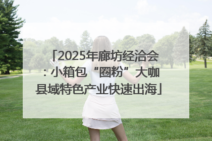 2025年廊坊经洽会：小箱包“圈粉”大咖 县域特色产业快速出海