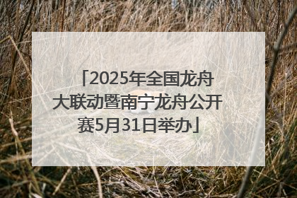 2025年全国龙舟大联动暨南宁龙舟公开赛5月31日举办