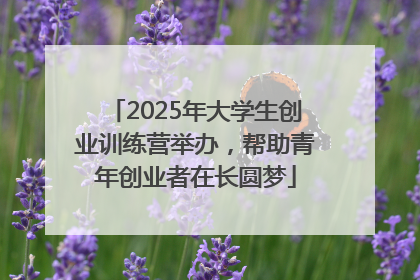 2025年大学生创业训练营举办，帮助青年创业者在长圆梦
