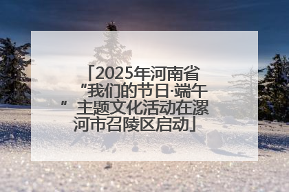2025年河南省“我们的节日·端午”主题文化活动在漯河市召陵区启动