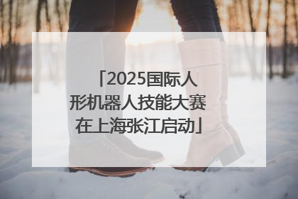 2025国际人形机器人技能大赛在上海张江启动