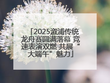 2025溆浦传统龙舟赛圆满落幕 竞速表演双燃 共展“大端午”魅力