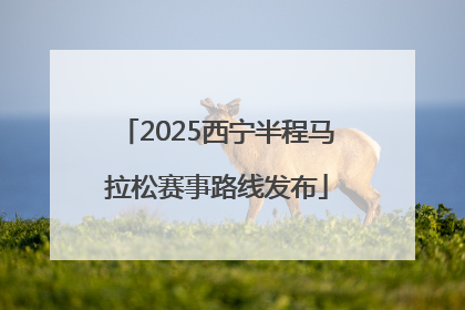 2025西宁半程马拉松赛事路线发布