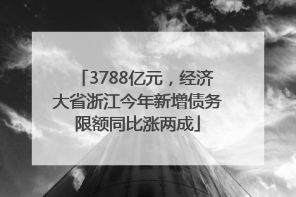 3788亿元，经济大省浙江今年新增债务限额同比涨两成