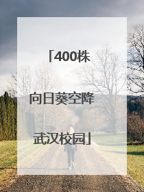 400株向日葵空降武汉校园