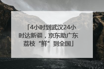 4小时到武汉24小时达新疆，京东助广东荔枝“鲜”到全国