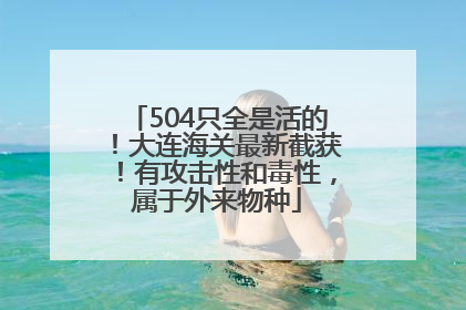 504只全是活的！大连海关最新截获！有攻击性和毒性，属于外来物种
