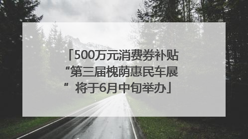 500万元消费券补贴 “第三届槐荫惠民车展”将于6月中旬举办