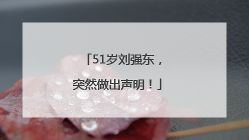 51岁刘强东，突然做出声明！