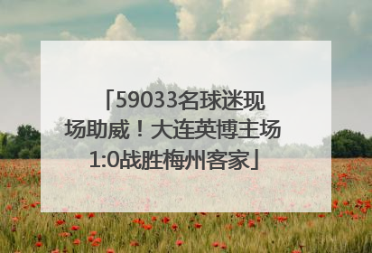59033名球迷现场助威！大连英博主场1:0战胜梅州客家