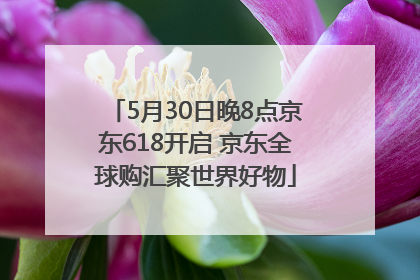 5月30日晚8点京东618开启 京东全球购汇聚世界好物
