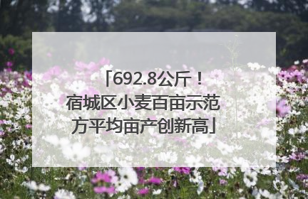 692.8公斤！宿城区小麦百亩示范方平均亩产创新高