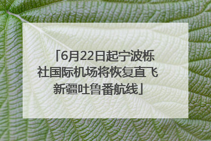 6月22日起宁波栎社国际机场将恢复直飞新疆吐鲁番航线