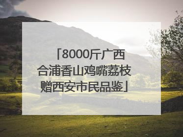 8000斤广西合浦香山鸡嘴荔枝赠西安市民品鉴