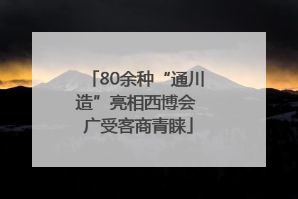 80余种“通川造”亮相西博会 广受客商青睐