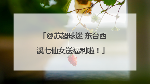 @苏超球迷 东台西溪七仙女送福利啦！