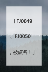 FJ0049、FJ0050，被点名！