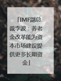 IMF副总裁李波：养老金改革能为资本市场建设提供更多长期资金