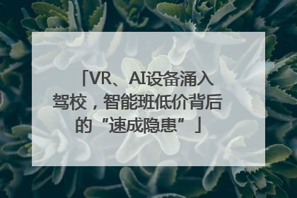 VR、AI设备涌入驾校，智能班低价背后的“速成隐患”