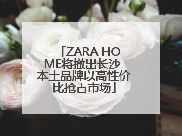 ZARA HOME将撤出长沙 本土品牌以高性价比抢占市场